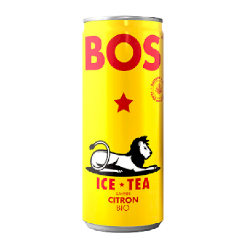 Ice tea Bio citron