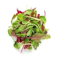 Mesclun